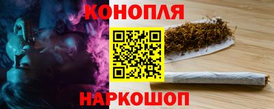 СК Краснодар